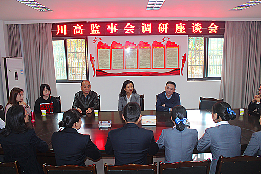 川高公司监事会工作委员会委员王莉一行赴广南高速调研指导工作2.JPG