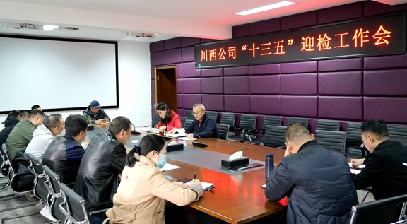 20201029川西公司召开“十三五”迎检工作会_副本.jpg