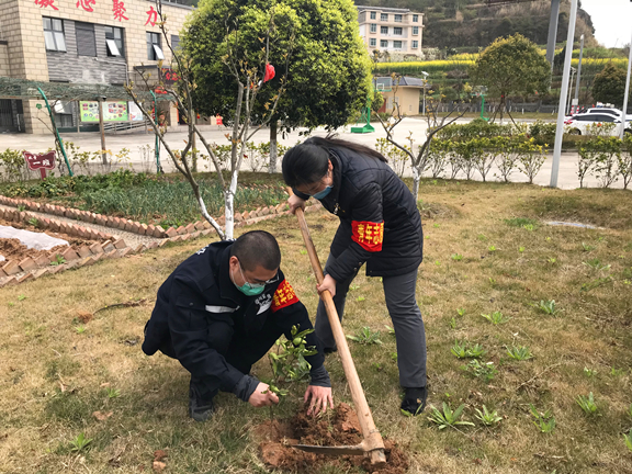 团员常顺、李东易为树苗盖土.JPG