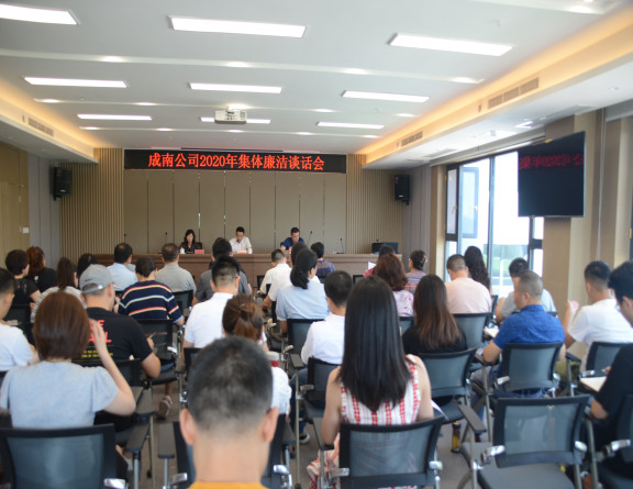 no209-成南公司组织召开2020年集体廉洁谈话会（周艳）.JPG