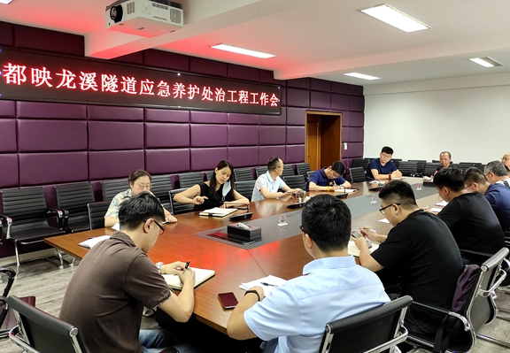 20200628 都映龙溪隧道应急养护处治工作会_副本.jpg