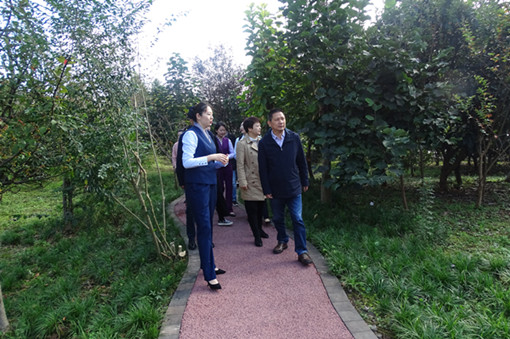 DSC00853_副本1.jpg