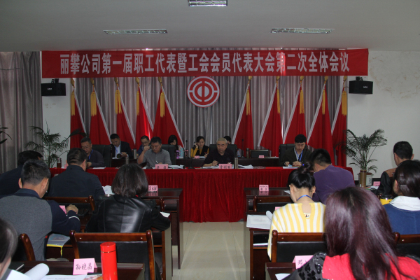 3月9日丽攀公司工会组织召开第一届职工代表暨工会会员代表大会第二次全体会议.jpg