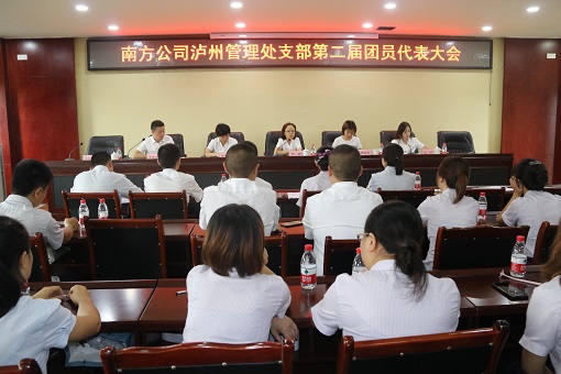 南方公司泸州管理处团支部第二次团员代表大会圆满召开照片1.JPG