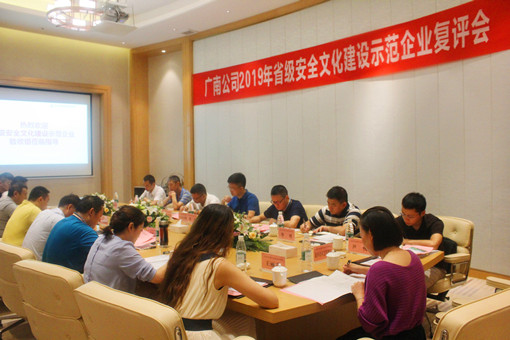 广南公司召开2019年省级安全文化建设示范企业复评会信息简报.JPG