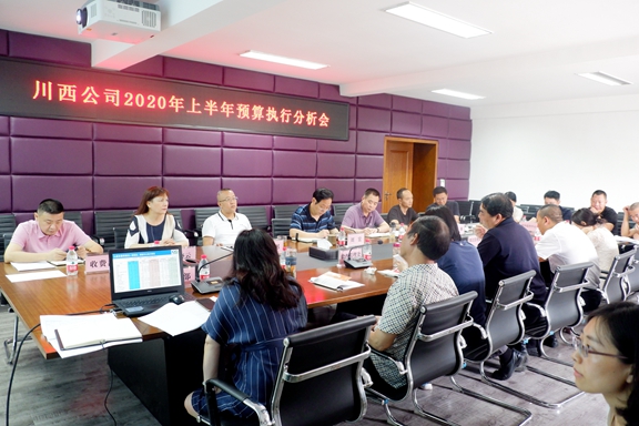 20200806川西公司2020上半年财务预算执行分析会 (3)_副本.jpg