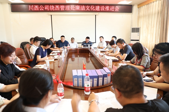 20200730川西公司党委委员、纪委书记黄晟调研公司党建及党风廉洁建设工作_副本.jpg