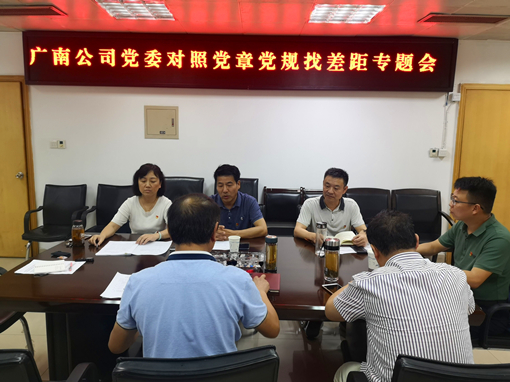 广南公司党委召开对照党章党规找差距专题会.jpg