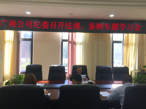 广南公司纪委召开法规、条例专题学习会1.jpg