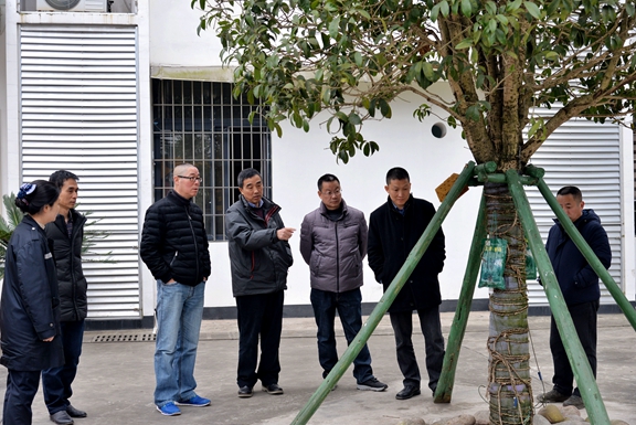 （公司新闻）20191230_公司领导班子调研基层站队.jpg