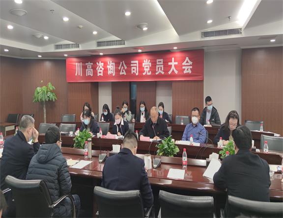 咨询公司召开党员大会暨支部委员会换届选举大会.jpg