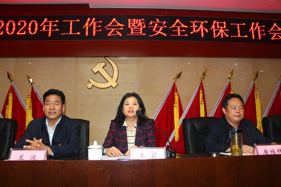 广南公司召开2020年工作会暨安全环保工作会6.JPG