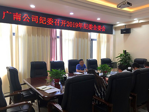 广南公司纪委召开2019年纪委全委会.JPG