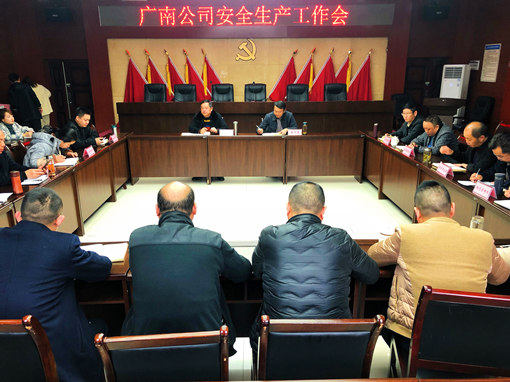 广南公司安全生产工作会.JPG