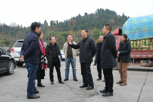 no349-川高公司党委委员、监事会主席何刚、党委委员、副总经理张洪春一行到成南公司调研“改革撤站”工作（郑华）.jpg