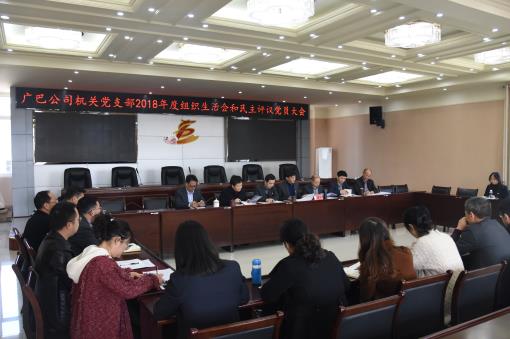 广巴公司机关党支部召开组织生活会和民主评议党员大会.jpg