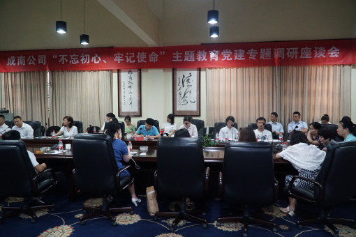 no197-成南公司组织召开“不忘初心，牢记使命”主题教育（吴易）.JPG