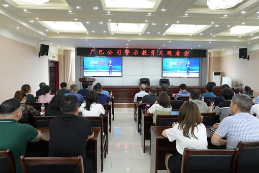 广巴公司开展廉洁党课暨警示教育片观看活动 (1)_副本.jpg