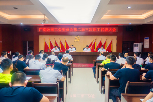 广南公司召开第二届三次职工代表大会1.jpg