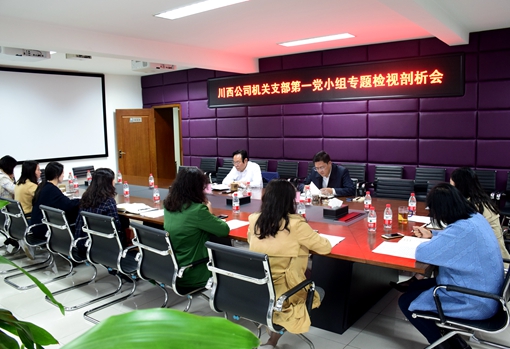 20191031川西公司组织开展“不忘初心、牢记使命”专题检视剖析会_副本.jpg