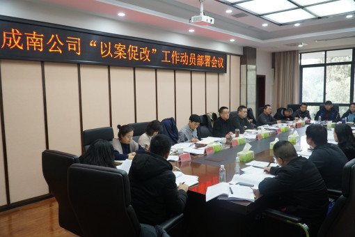 no335-成南公司组织召开“以案促改”工作动员部署会（罗理军）.JPG