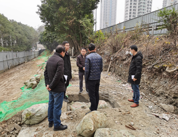 no1-成南公司组织开展杉板桥市政道路施工专项检查.jpg