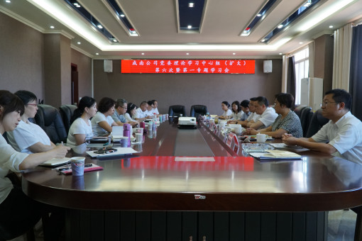 no159-成南公司组织召开“不忘初心，牢记使命”专题学习研讨会暨2019年第六次党委理论学习中心组（扩大）学习会（吴易）.JPG