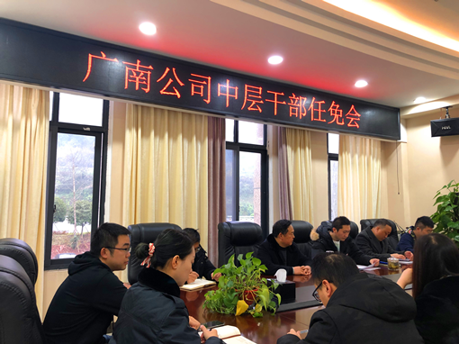 广南公司召开中层干部任免会.png