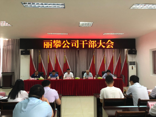 4月23日-川高公司党委副书记、董事但勇出席丽攀公司干部大会.jpg