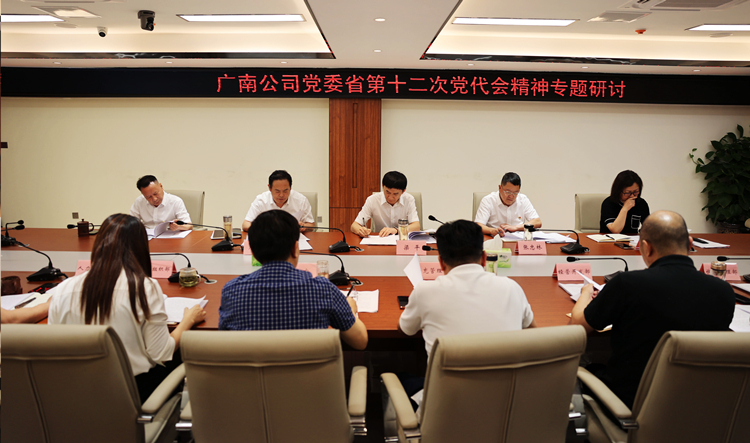 广南公司召开党委理论学习中心组第五次（扩大）学习会3.jpg