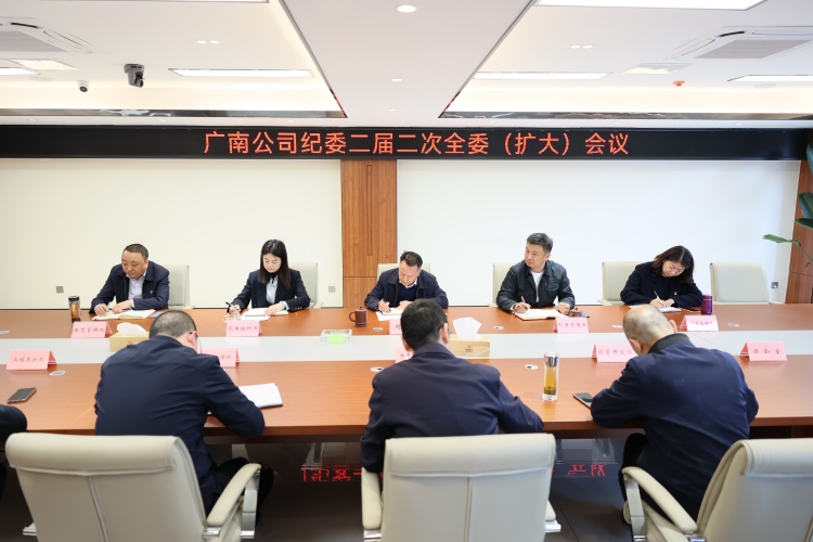 广南公司纪委召开二届二次全委（扩大）会1.JPG