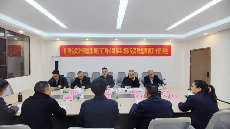 照片：川高公司外部董事一行调研广南公司降本增效及高质量发展工作.jpg