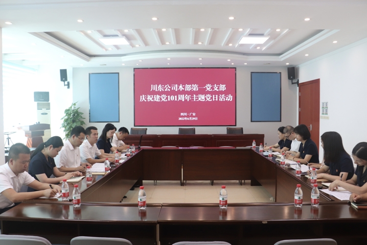 庆祝建党101周年主题党日活动1_爱奇艺.jpg