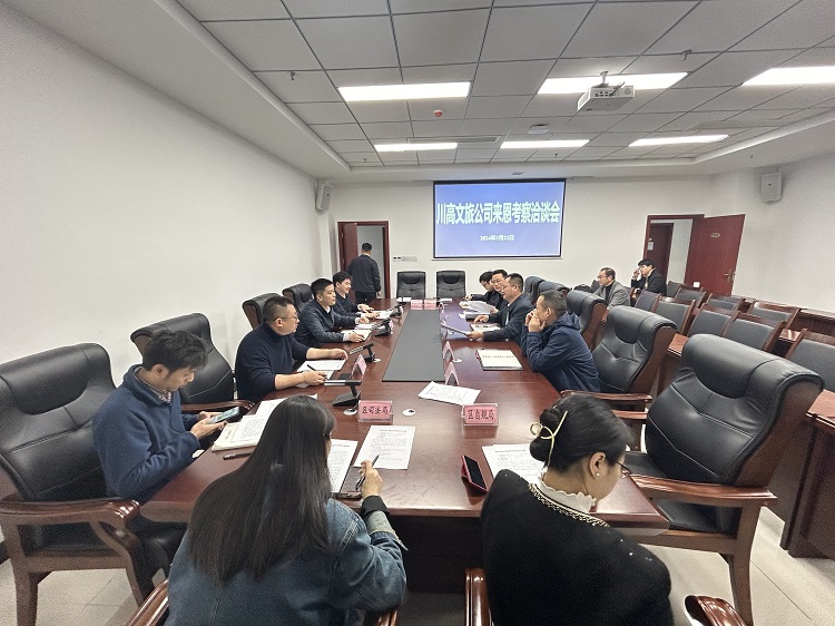川高文旅公司与恩阳区政府召开洽谈会1.jpg