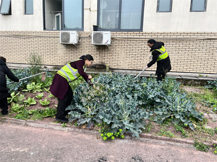 植树节报川高1.jpg