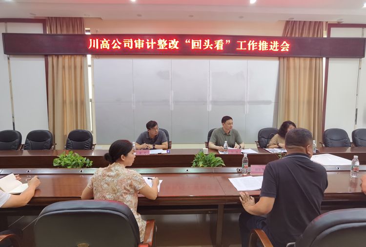 20220701川高公司副总经理孙淳一行赴资潼公司检查审计整改”回头“看专项工作_副本.jpg