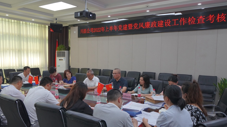 半年党建工作检查  副本.jpg