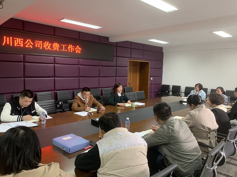 川西公司组织召开缓堵保畅等方案审议工作会_副本.jpg