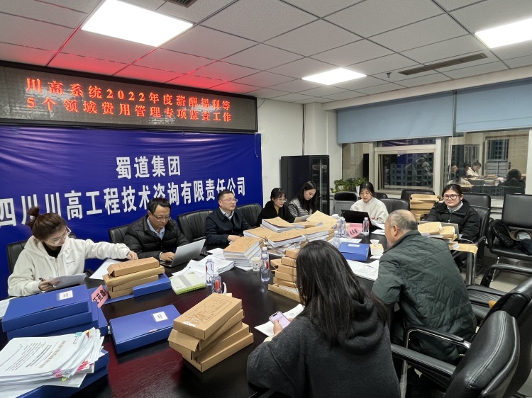 川高系统2022年度薪酬福利等5个领域费用管理专项监查第六组赴咨询公司开展专项监查工作.jpg