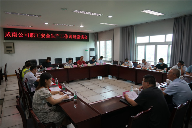 no411-成南公司组织召开职工安全生产工作调研座谈会（彭懿）.JPG
