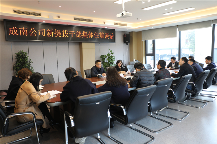 no92-成南公司组织开展新提拔中层干部任前廉洁集体谈话（李南）.JPG