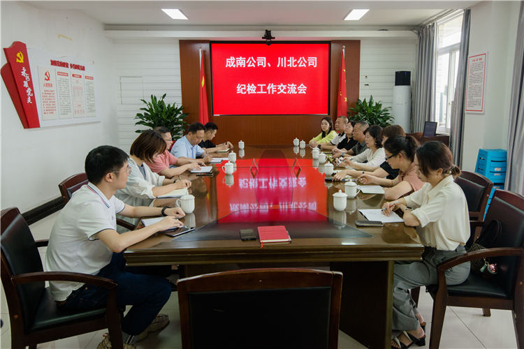 no260-成南公司與川北公司開(kāi)展紀(jì)檢工作交流學(xué)習(xí)（外單位拍攝）.jpg
