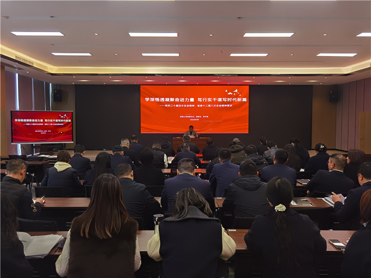 成南公司召开深入学习贯彻党的二十届四中全会和省委十二届八次全会精神专题宣讲会.jpg