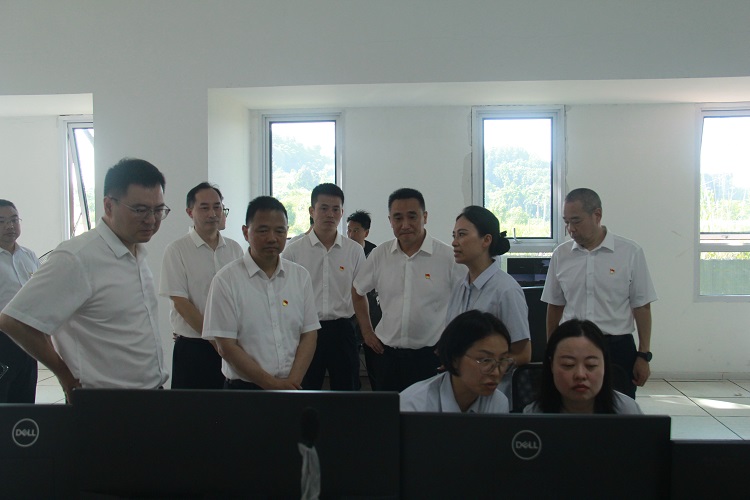 孙董调研.jpg