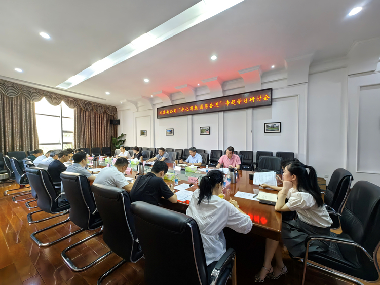 7.18+党群工作部+成德南公司召开“牢记嘱托、感恩奋进”专题学习研讨会_副本.jpg