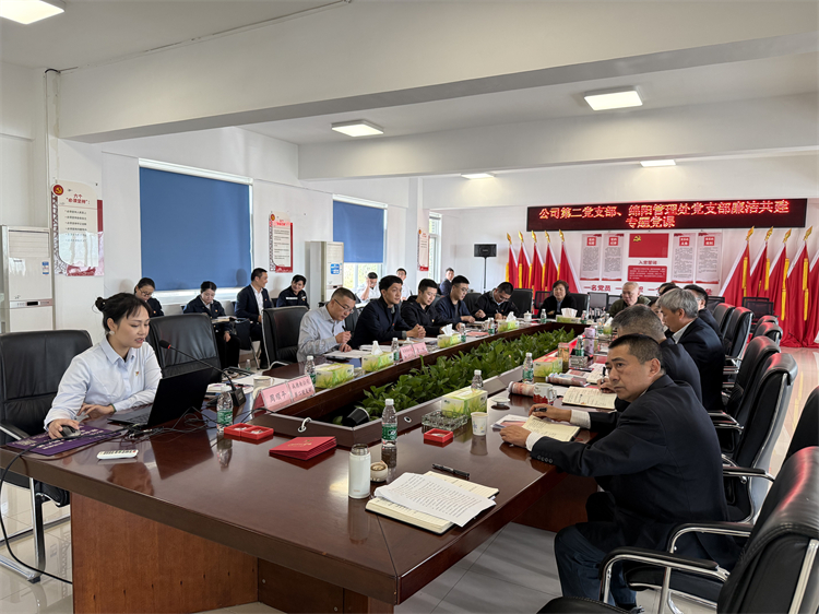 10.25+绵阳管理处+公司第一、二党支部、绵阳管理处党支部开展联合共建主题党日活动4.jpg