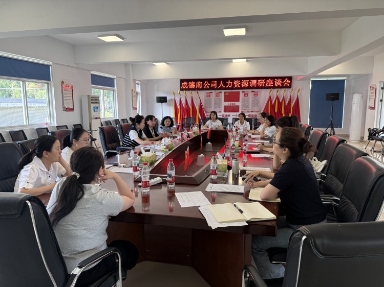 5.26+绵阳管理中心+成德南公司人力资源调研座谈会.jpg